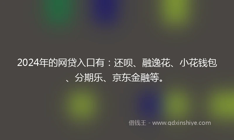 2024年的网贷入口有：还呗、融逸花、小花钱包、分期乐、京东金融等。