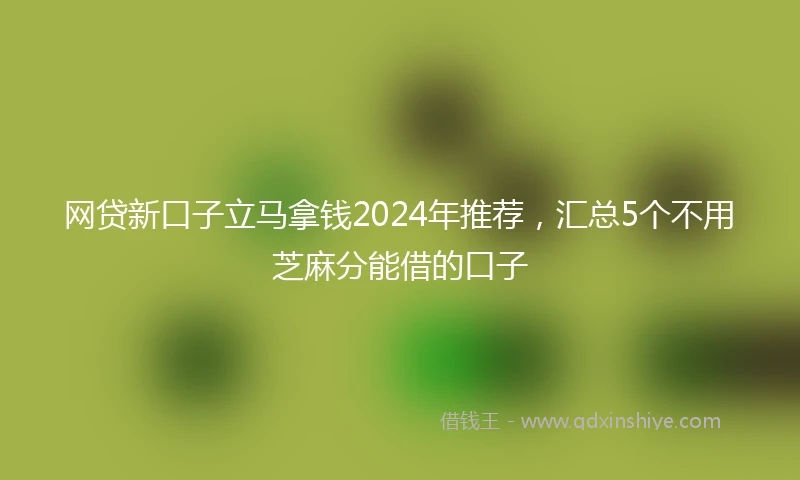网贷新口子立马拿钱2024年推荐，汇总5个不用芝麻分能借的口子