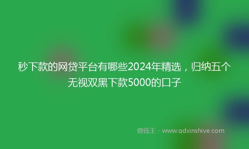 秒下款的网贷平台有哪些2024年精选，归纳五个无视双黑下款5000的口子