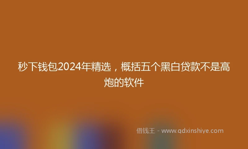 秒下钱包2024年精选，概括五个黑白贷款不是高炮的软件