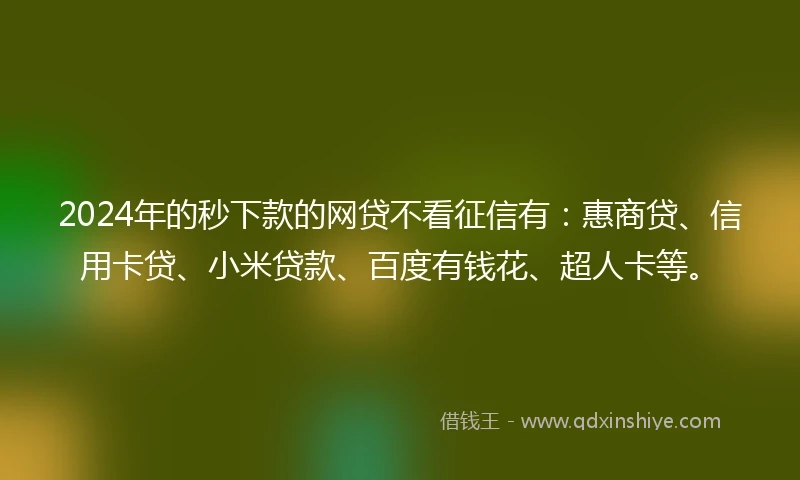 2024年的秒下款的网贷不看征信有：惠商贷、信用卡贷、小米贷款、百度有钱花、超人卡等。