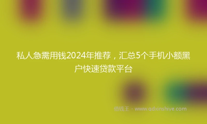 私人急需用钱2024年推荐，汇总5个手机小额黑户快速贷款平台