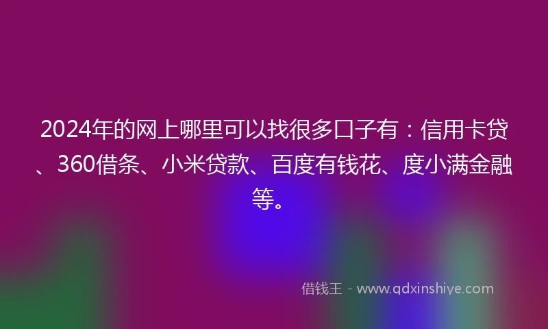 2024年的网上哪里可以找很多口子有：信用卡贷、360借条、小米贷款、百度有钱花、度小满金融等。
