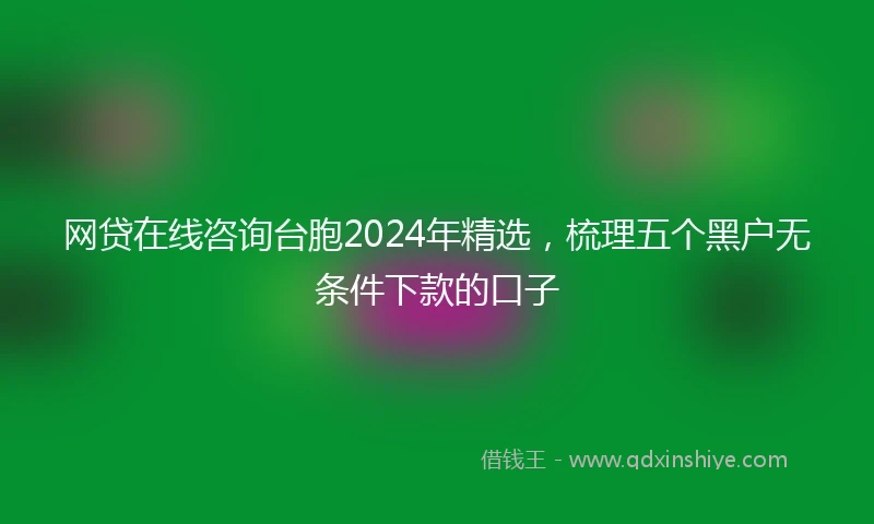 网贷在线咨询台胞2024年精选，梳理五个黑户无条件下款的口子