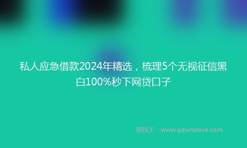 私人应急借款2024年精选，梳理5个无视征信黑白100%秒下网贷口子