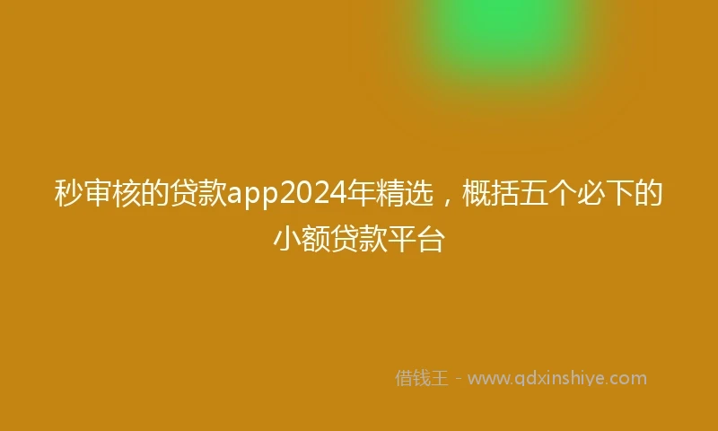 秒审核的贷款app2024年精选，概括五个必下的小额贷款平台