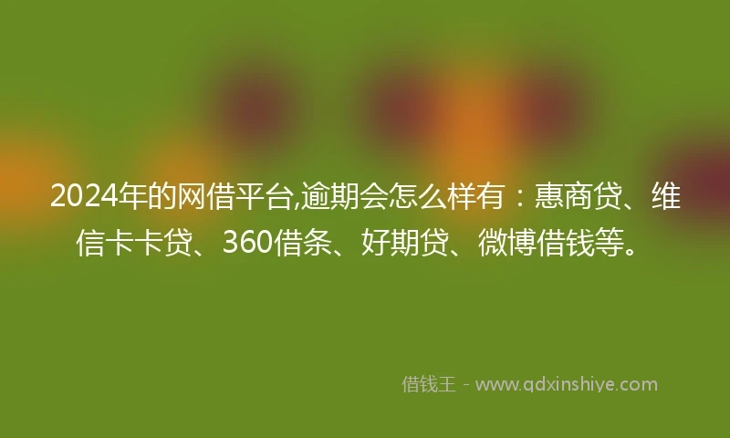 2024年的网借平台,逾期会怎么样有：惠商贷、维信卡卡贷、360借条、好期贷、微博借钱等。