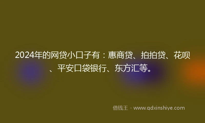2024年的网贷小口子有：惠商贷、拍拍贷、花呗、平安口袋银行、东方汇等。