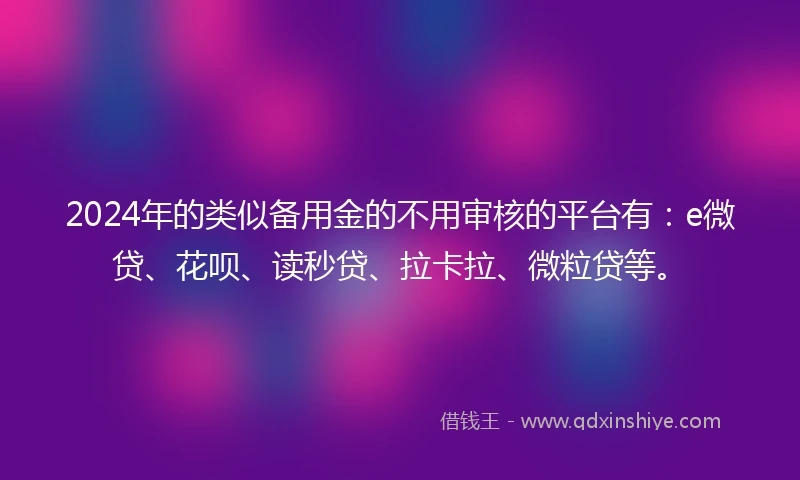 2024年的类似备用金的不用审核的平台有：e微贷、花呗、读秒贷、拉卡拉、微粒贷等。