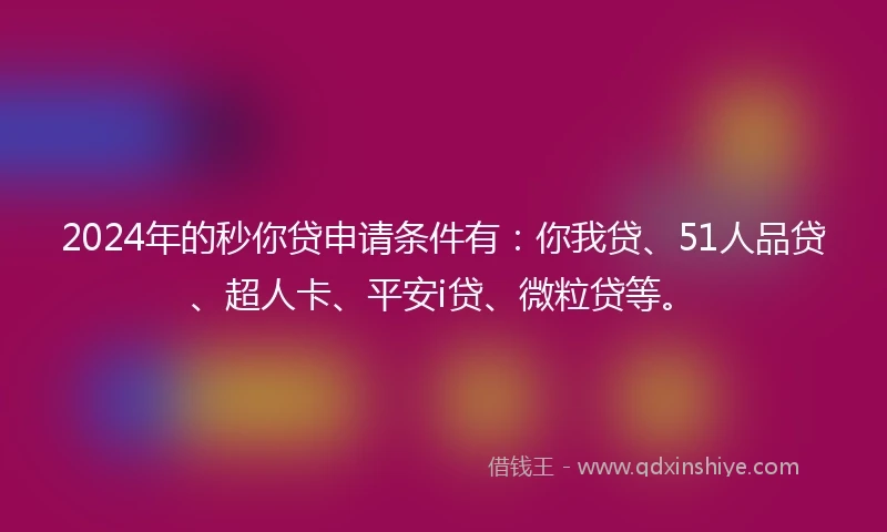2024年的秒你贷申请条件有：你我贷、51人品贷、超人卡、平安i贷、微粒贷等。