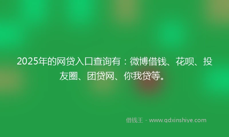 2025年的网贷入口查询有：微博借钱、花呗、投友圈、团贷网、你我贷等。