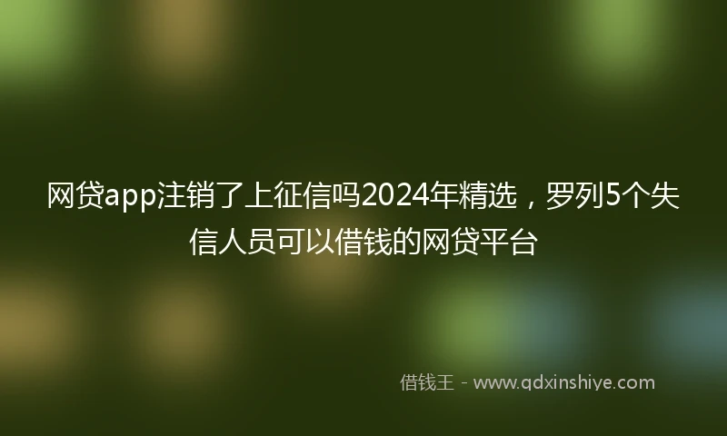 网贷app注销了上征信吗2024年精选，罗列5个失信人员可以借钱的网贷平台
