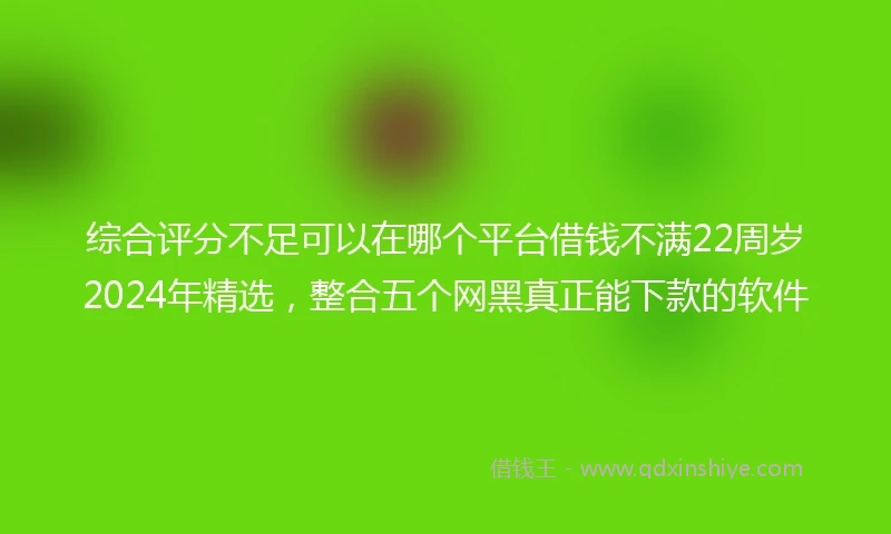 综合评分不足可以在哪个平台借钱不满22周岁2024年精选，整合五个网黑真正能下款的软件