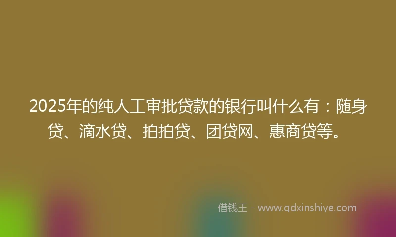 2025年的纯人工审批贷款的银行叫什么有：随身贷、滴水贷、拍拍贷、团贷网、惠商贷等。