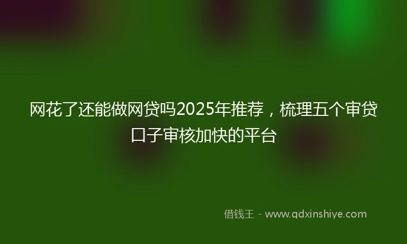 网花了还能做网贷吗2025年推荐，梳理五个审贷口子审核加快的平台