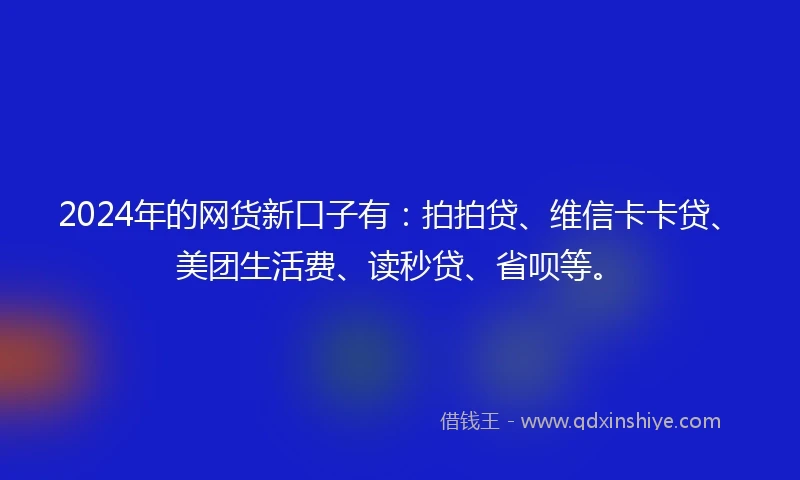 2024年的网货新口子有：拍拍贷、维信卡卡贷、美团生活费、读秒贷、省呗等。