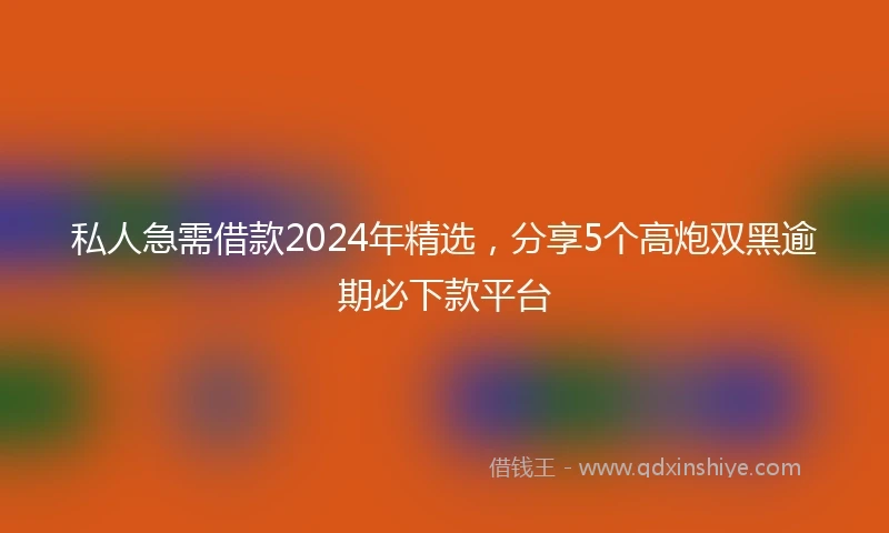 私人急需借款2024年精选，分享5个高炮双黑逾期必下款平台