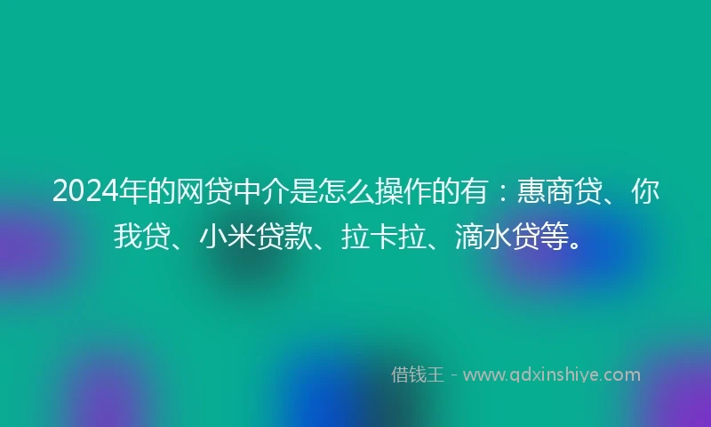 2024年的网贷中介是怎么操作的有：惠商贷、你我贷、小米贷款、拉卡拉、滴水贷等。