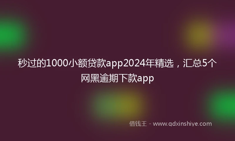 秒过的1000小额贷款app2024年精选，汇总5个网黑逾期下款app