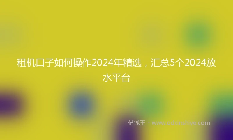 租机口子如何操作2024年精选，汇总5个2024放水平台