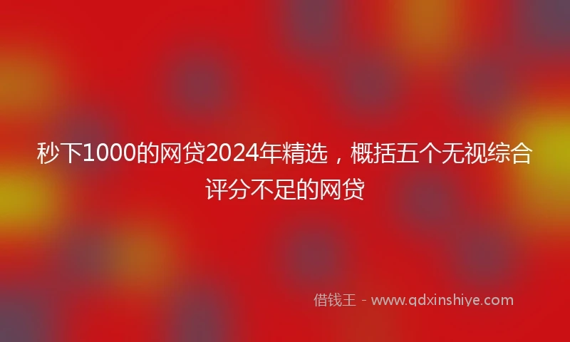 秒下1000的网贷2024年精选，概括五个无视综合评分不足的网贷