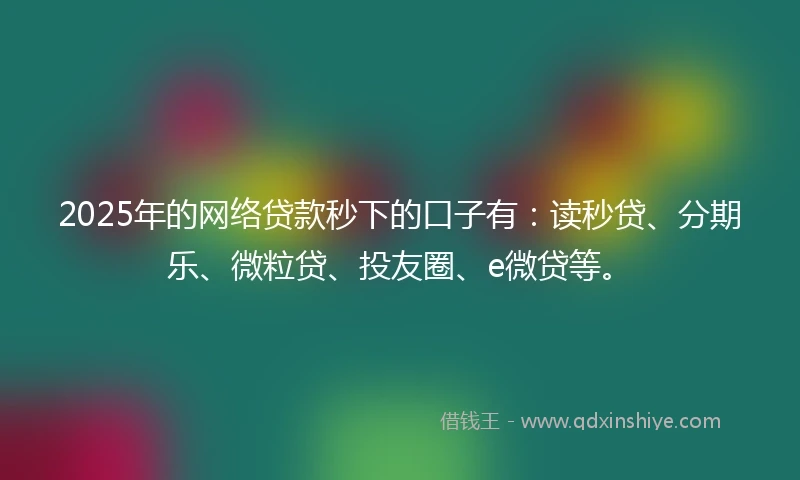 2025年的网络贷款秒下的口子有：读秒贷、分期乐、微粒贷、投友圈、e微贷等。