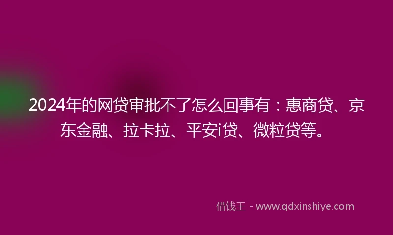 2024年的网贷审批不了怎么回事有：惠商贷、京东金融、拉卡拉、平安i贷、微粒贷等。