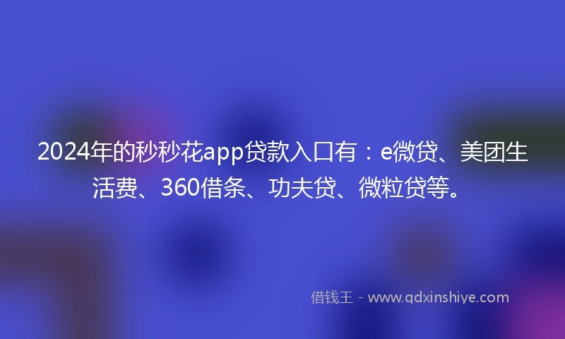 2024年的秒秒花app贷款入口有:e微贷、美团生活费、360借条、功夫贷、微粒贷等。