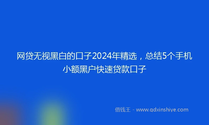 网贷无视黑白的口子2024年精选，总结5个手机小额黑户快速贷款口子