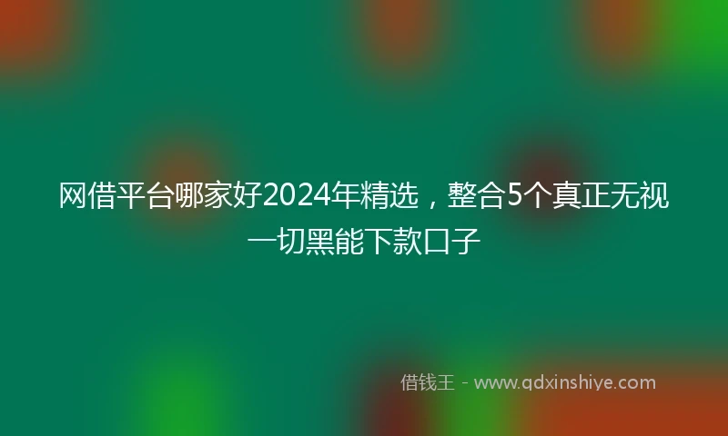网借平台哪家好2024年精选，整合5个真正无视一切黑能下款口子