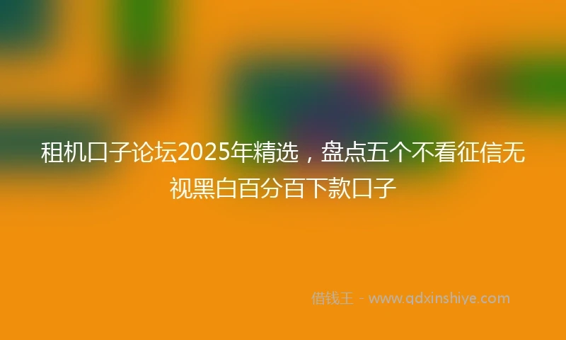 租机口子论坛2025年精选，盘点五个不看征信无视黑白百分百下款口子