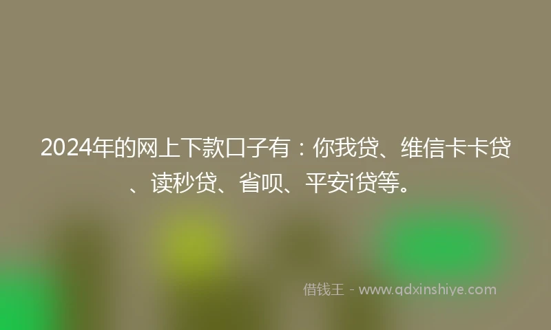 2024年的网上下款口子有：你我贷、维信卡卡贷、读秒贷、省呗、平安i贷等。