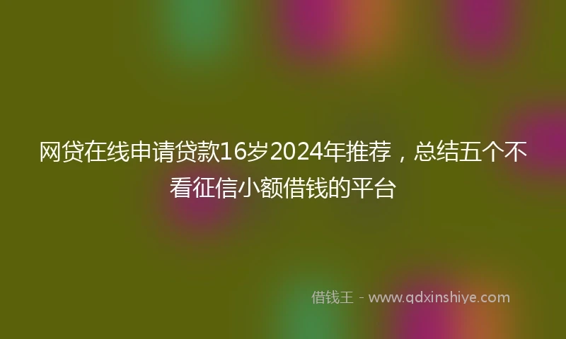 网贷在线申请贷款16岁2024年推荐，总结五个不看征信小额借钱的平台