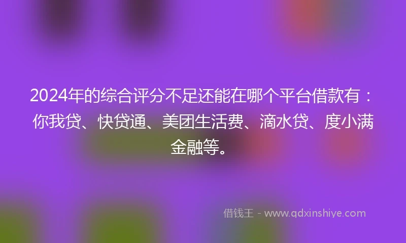 2024年的综合评分不足还能在哪个平台借款有：你我贷、快贷通、美团生活费、滴水贷、度小满金融等。