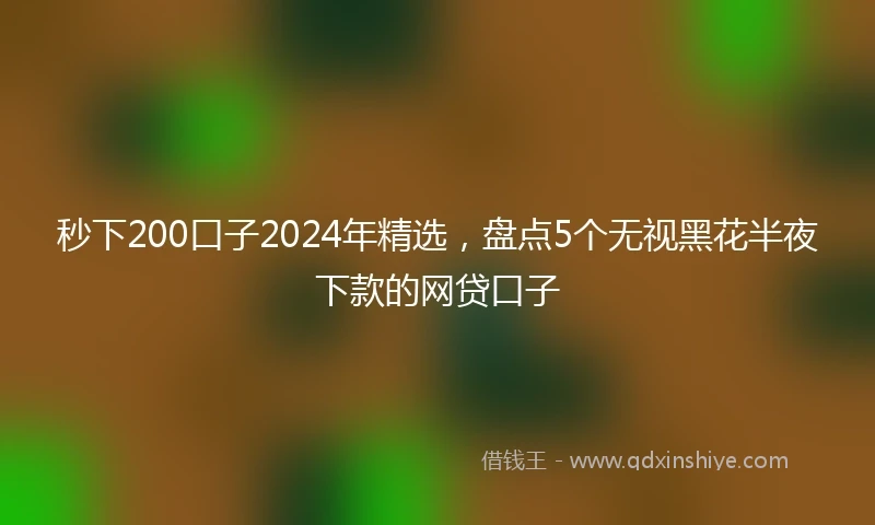 秒下200口子2024年精选，盘点5个无视黑花半夜下款的网贷口子