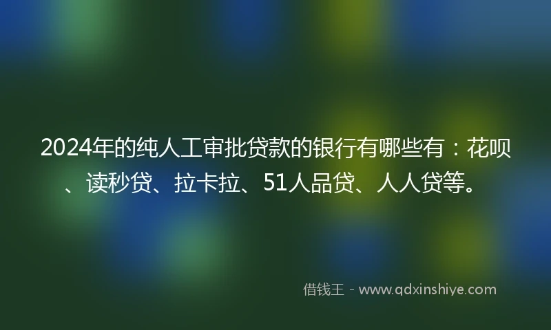 2024年的纯人工审批贷款的银行有哪些有：花呗、读秒贷、拉卡拉、51人品贷、人人贷等。