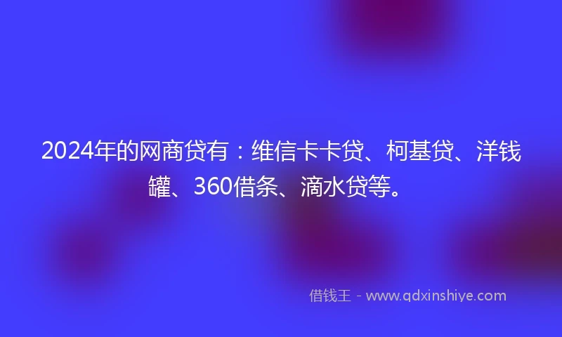 2024年的网商贷有：维信卡卡贷、柯基贷、洋钱罐、360借条、滴水贷等。