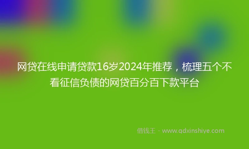 网贷在线申请贷款16岁2024年推荐，梳理五个不看征信负债的网贷百分百下款平台