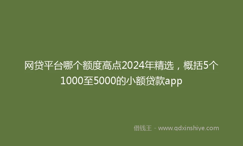 网贷平台哪个额度高点2024年精选，概括5个1000至5000的小额贷款app