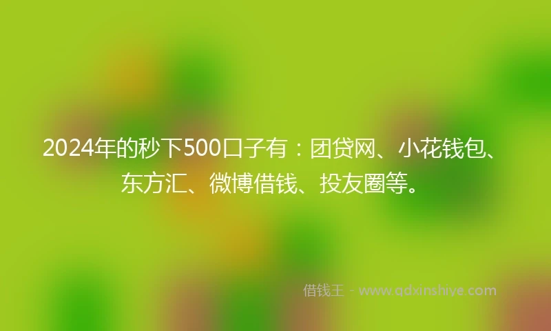 2024年的秒下500口子有：团贷网、小花钱包、东方汇、微博借钱、投友圈等。