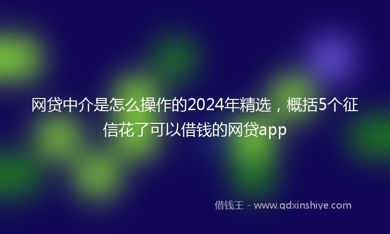 网贷中介是怎么操作的2024年精选,概括5个征信花了可以借钱的网贷app