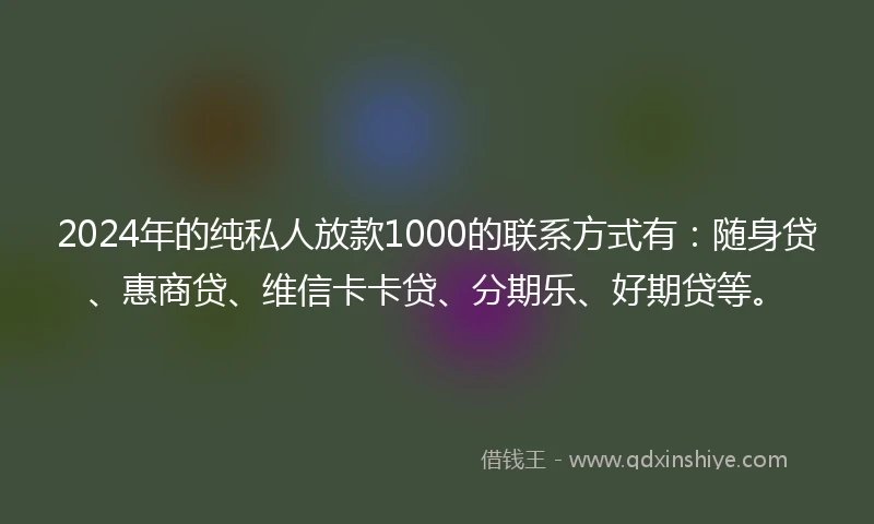 2024年的纯私人放款1000的联系方式有：随身贷、惠商贷、维信卡卡贷、分期乐、好期贷等。
