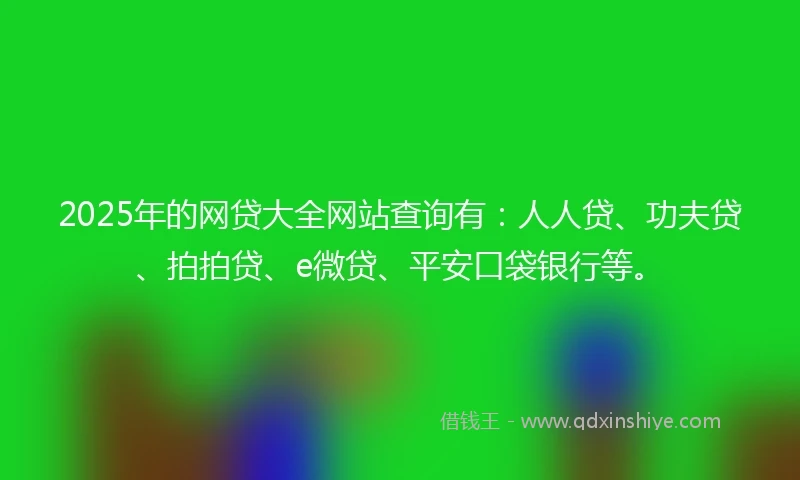 2025年的网贷大全网站查询有：人人贷、功夫贷、拍拍贷、e微贷、平安口袋银行等。