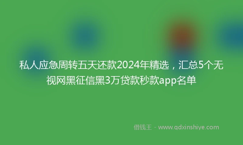 私人应急周转五天还款2024年精选，汇总5个无视网黑征信黑3万贷款秒款app名单