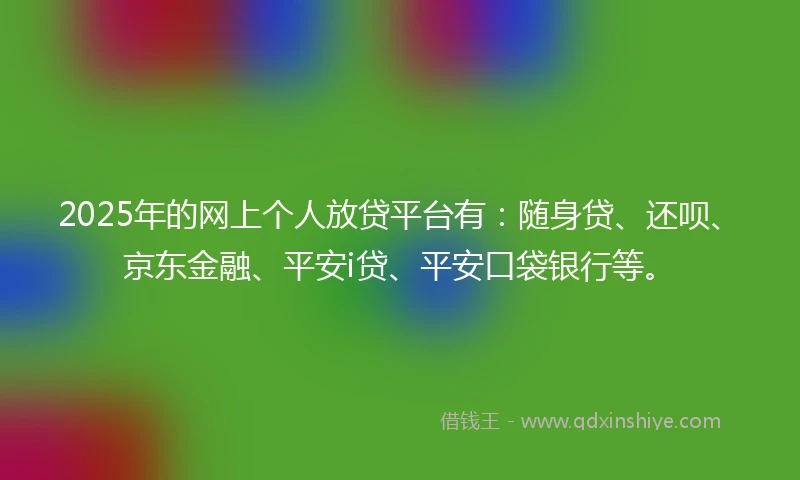 2025年的网上个人放贷平台有：随身贷、还呗、京东金融、平安i贷、平安口袋银行等。