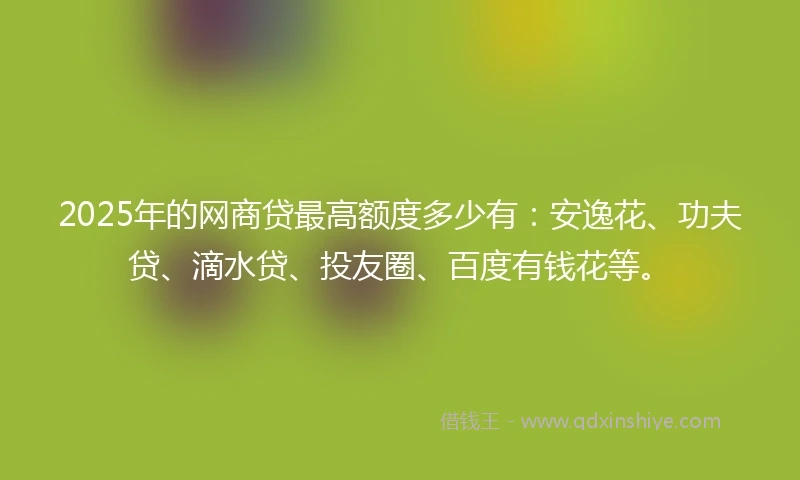 2025年的网商贷最高额度多少有：安逸花、功夫贷、滴水贷、投友圈、百度有钱花等。
