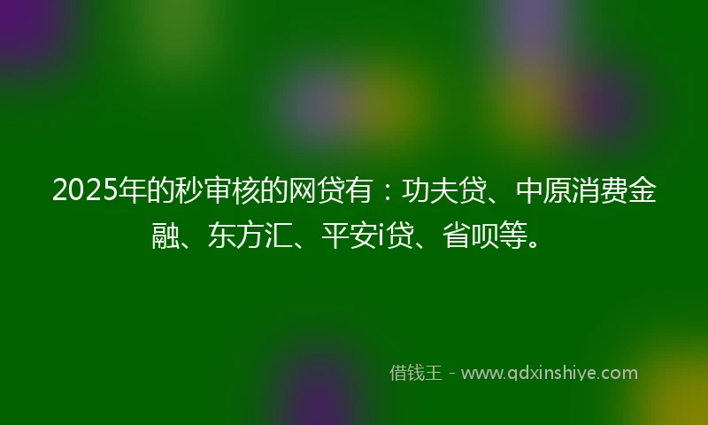 2025年的秒审核的网贷有：功夫贷、中原消费金融、东方汇、平安i贷、省呗等。