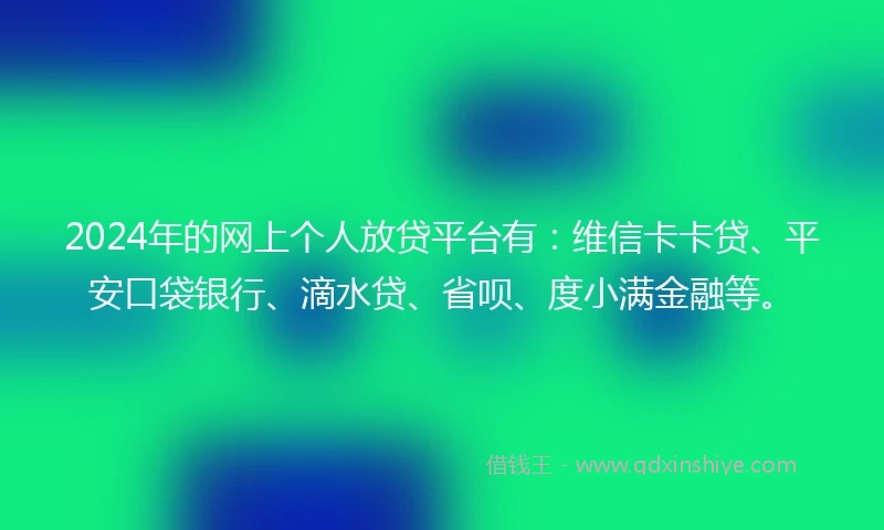 2024年的网上个人放贷平台有：维信卡卡贷、平安口袋银行、滴水贷、省呗、度小满金融等。