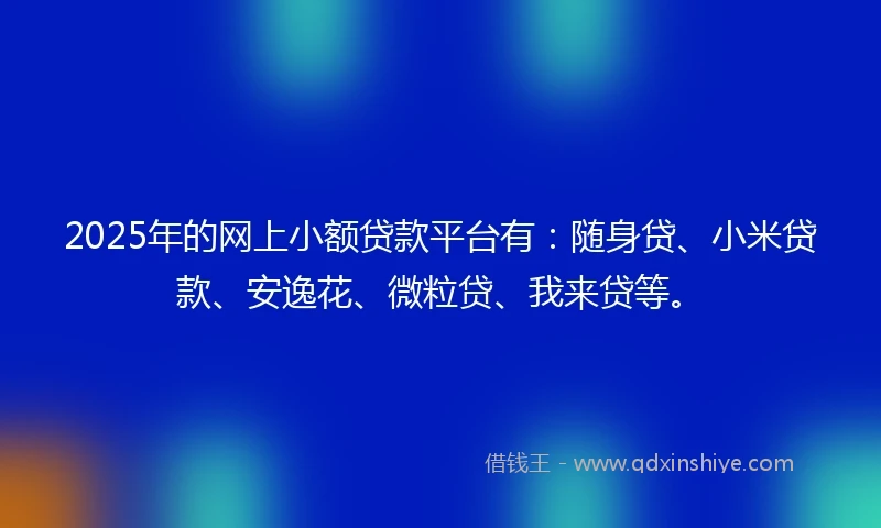 2025年的网上小额贷款平台有：随身贷、小米贷款、安逸花、微粒贷、我来贷等。