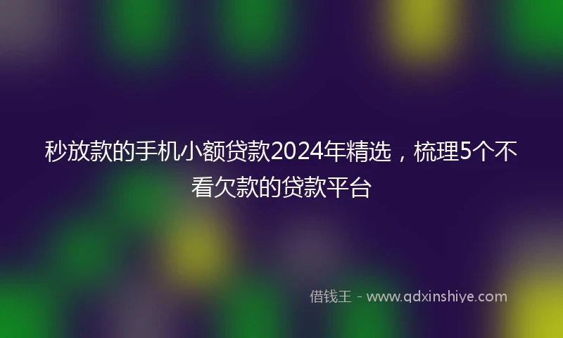 秒放款的手机小额贷款2024年精选，梳理5个不看欠款的贷款平台